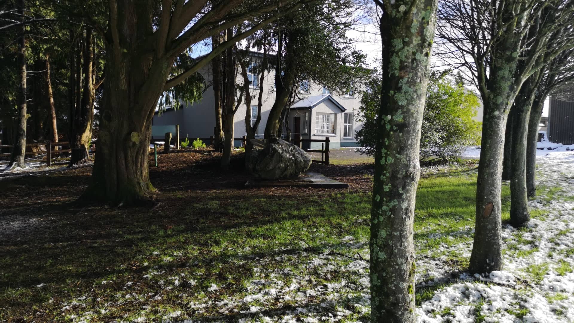 2. House through the trees front of kilcully house