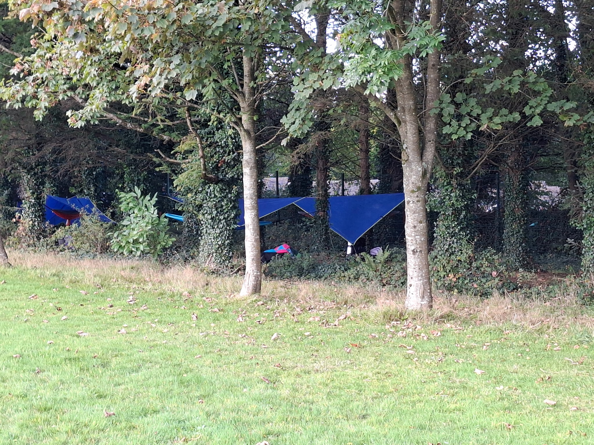 65 Hammock tarps