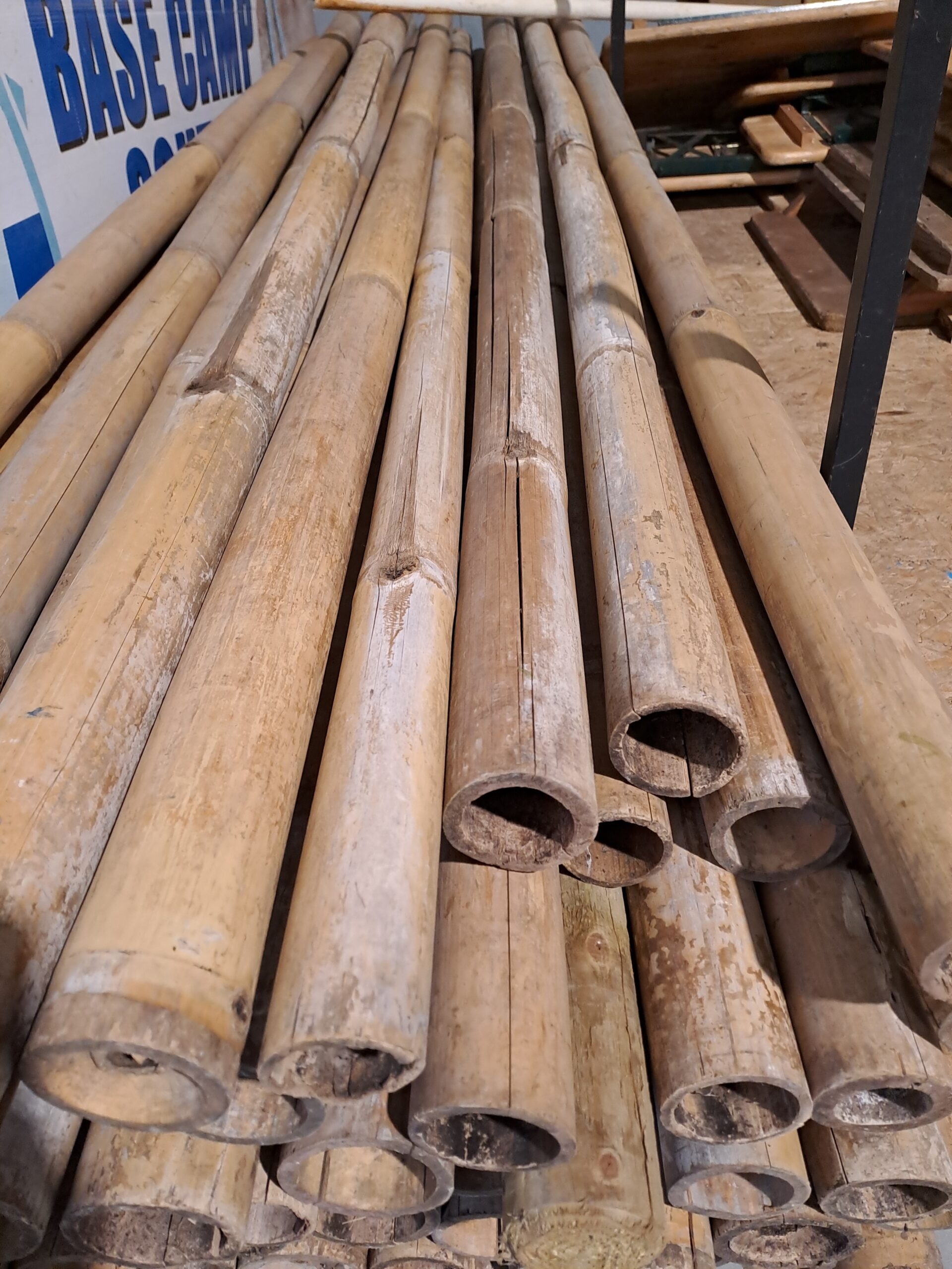 70 Pioneering bamboo