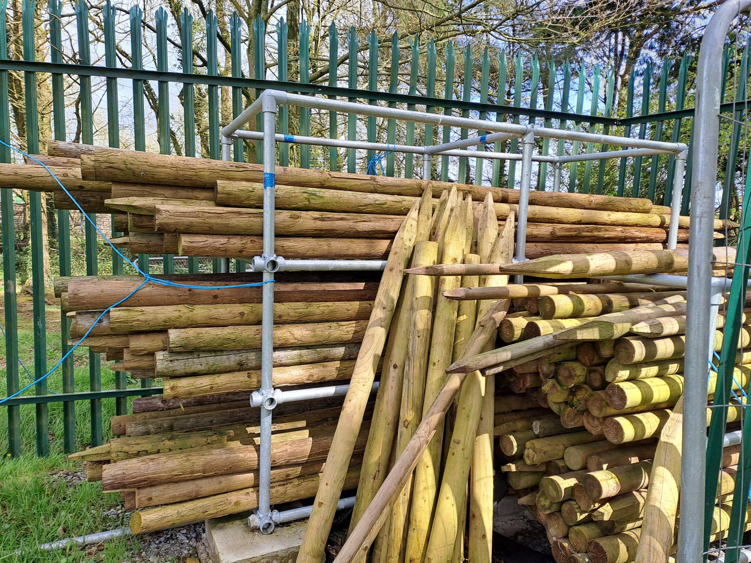 74 Pioneering wood 2